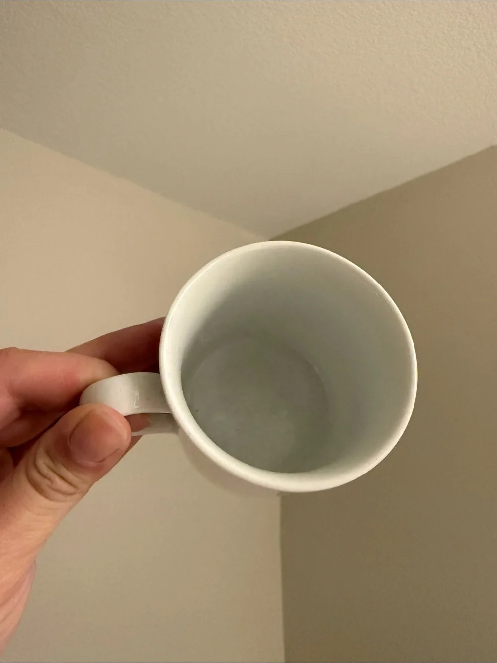 Set of 2 Crate&Barrel White Staccato Ceramic Coffee Tea Mug Scalloped Rim